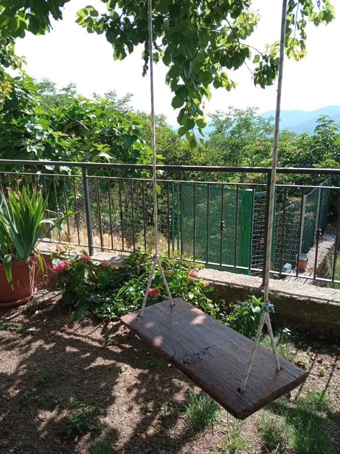 Apartment Romantica Vetulonia